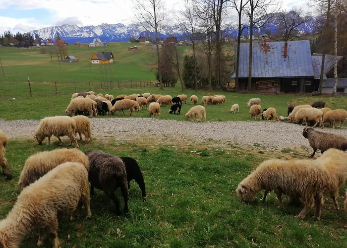 Goralski Zebianski Dworek Zab